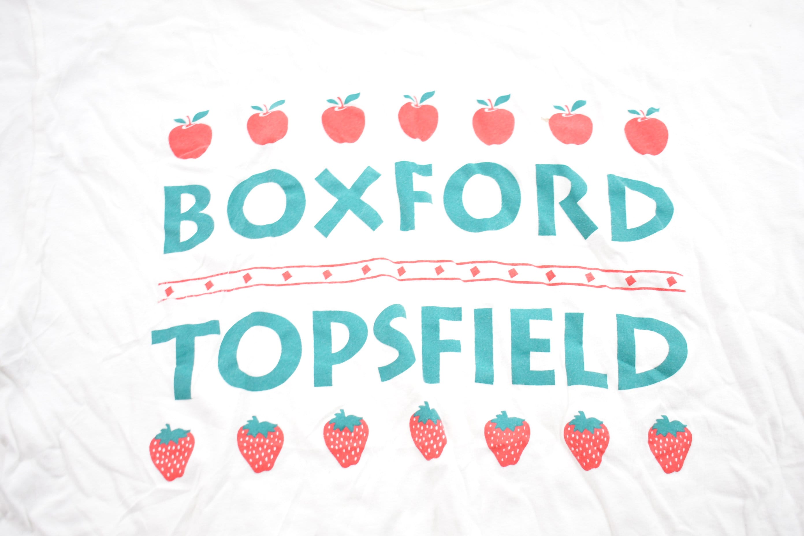 Vintage 1990s Boxford Topsfield Graphic T-Shirt