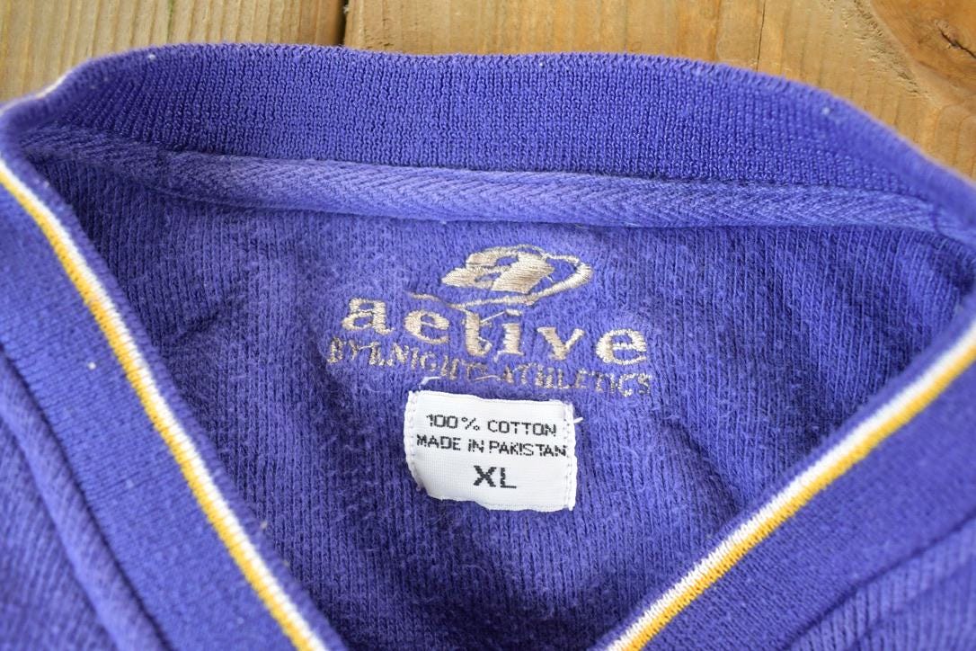 Vintage 1990s Minnesota Vikings NFL Embroidered V Neck Sweatshirt