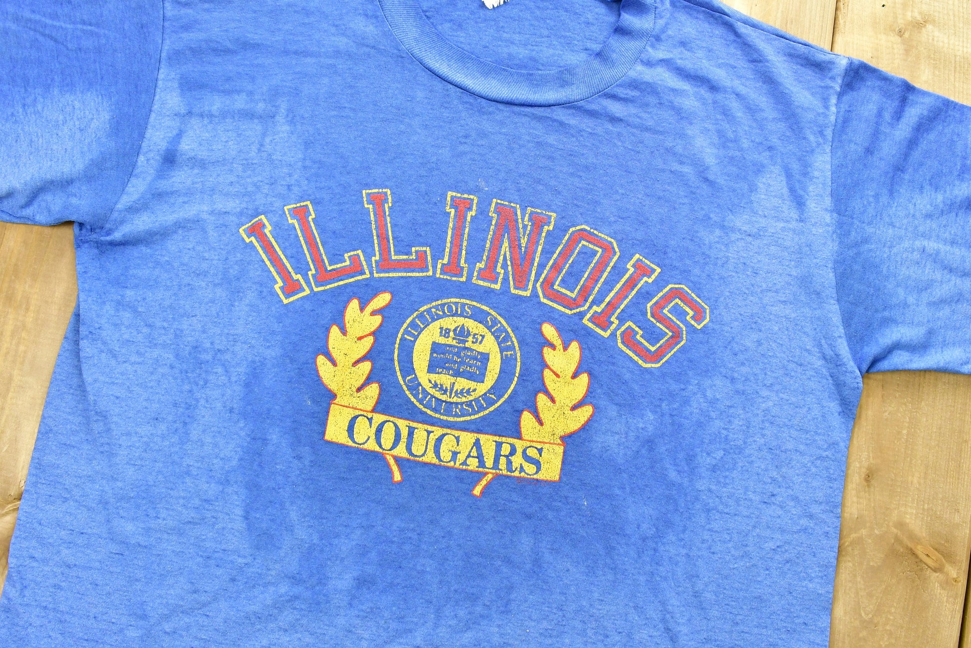 Vintage 1980s University of Illinois Cougars Collegiate T-Shirt / NCAA Tee / Americana / Sportswear / Single Stitch Athleisure