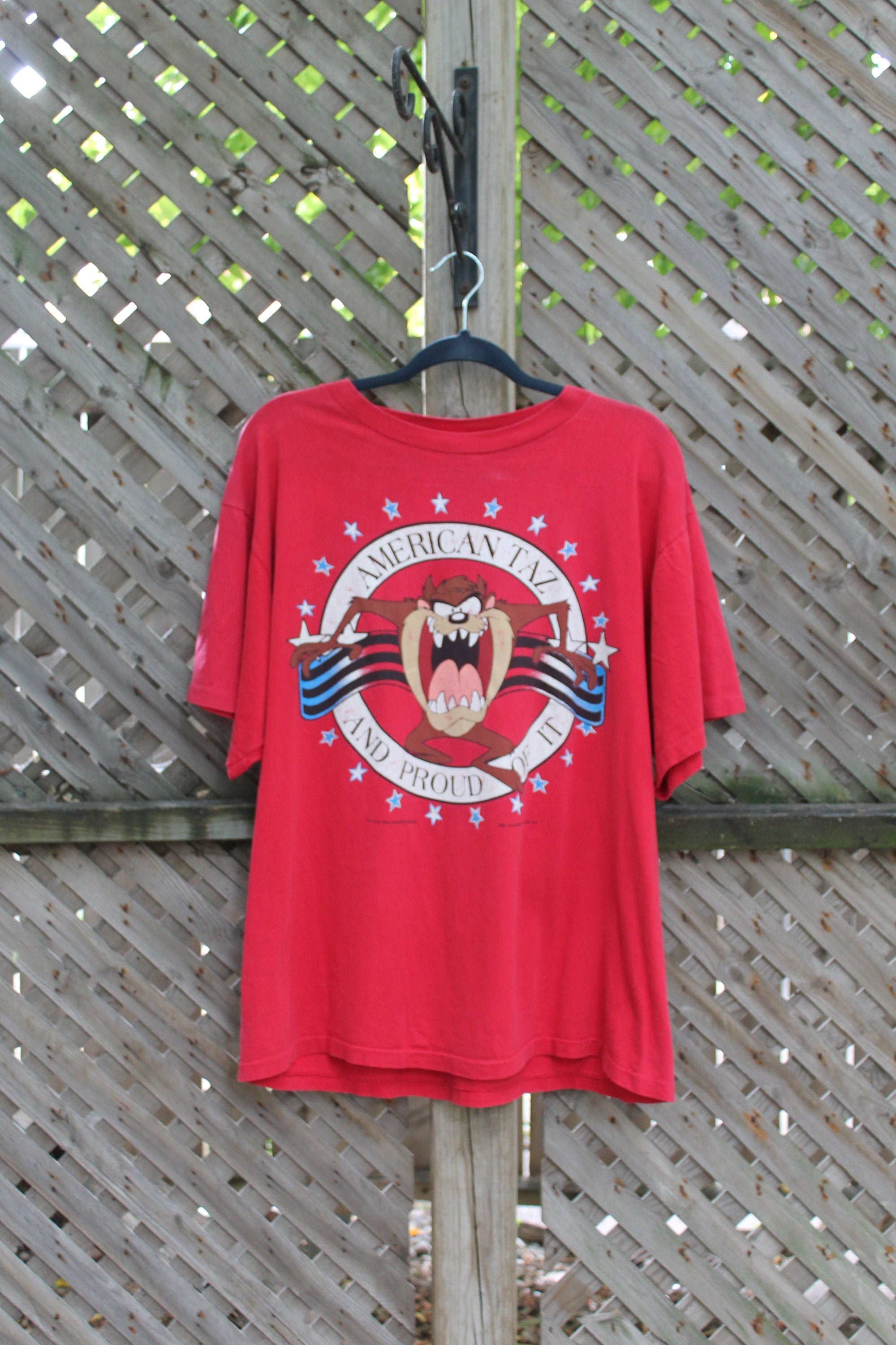 Vintage 1995 Looney Tunes Taz Devil Graphic T Shirt