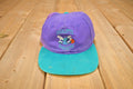 Vintage 1990s Charlotte Hornets NBA Snap Back Hat