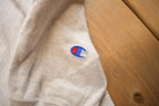 Vintage 1990s HIllsdale College Champion Reverse Weave Crewneck Made In USA