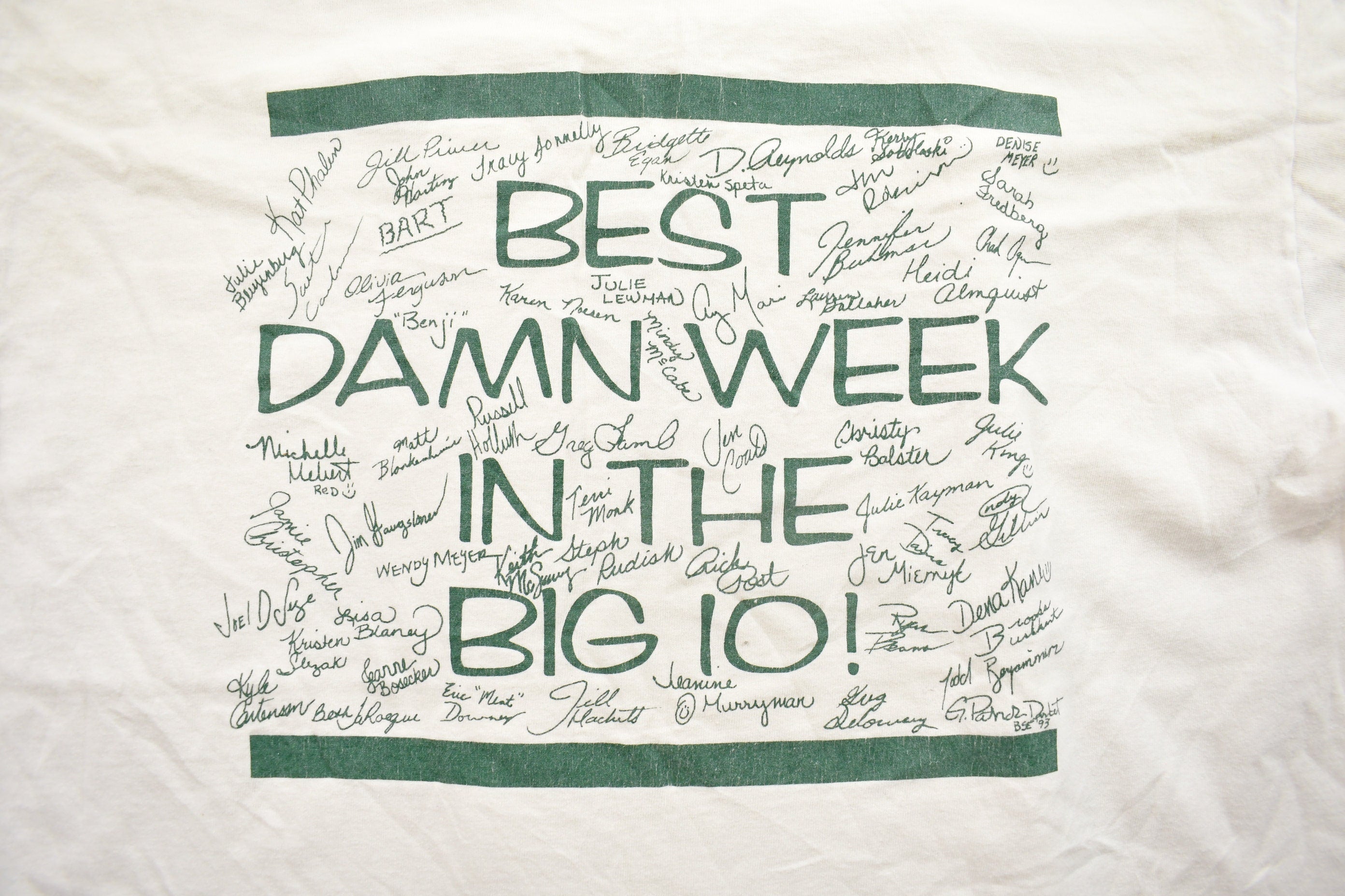 Vintage 1993 Best Damn Week In The Big IO University Of Iowa Rho Chi Rush T-Shirt