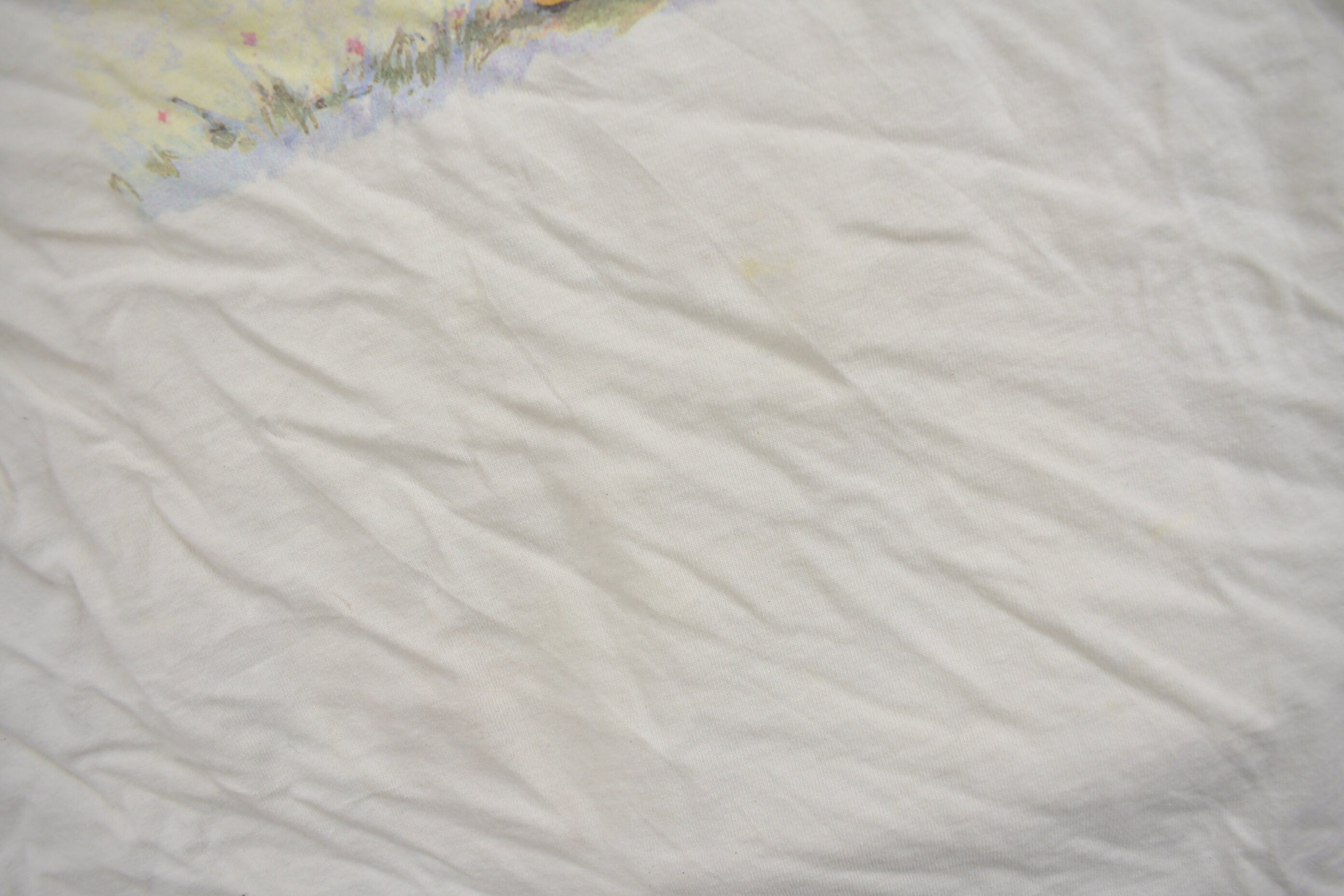 Vintage 1990s Disney Winnie The Pooh Cartoon T-Shirt  90s Graphic Tee  Plant The Earth  Vintage Disney  Made In USA