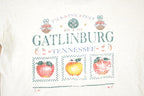 Vintage 1990s Gatlinburg Tennessee Souvenir Travel T-Shirt Men's L