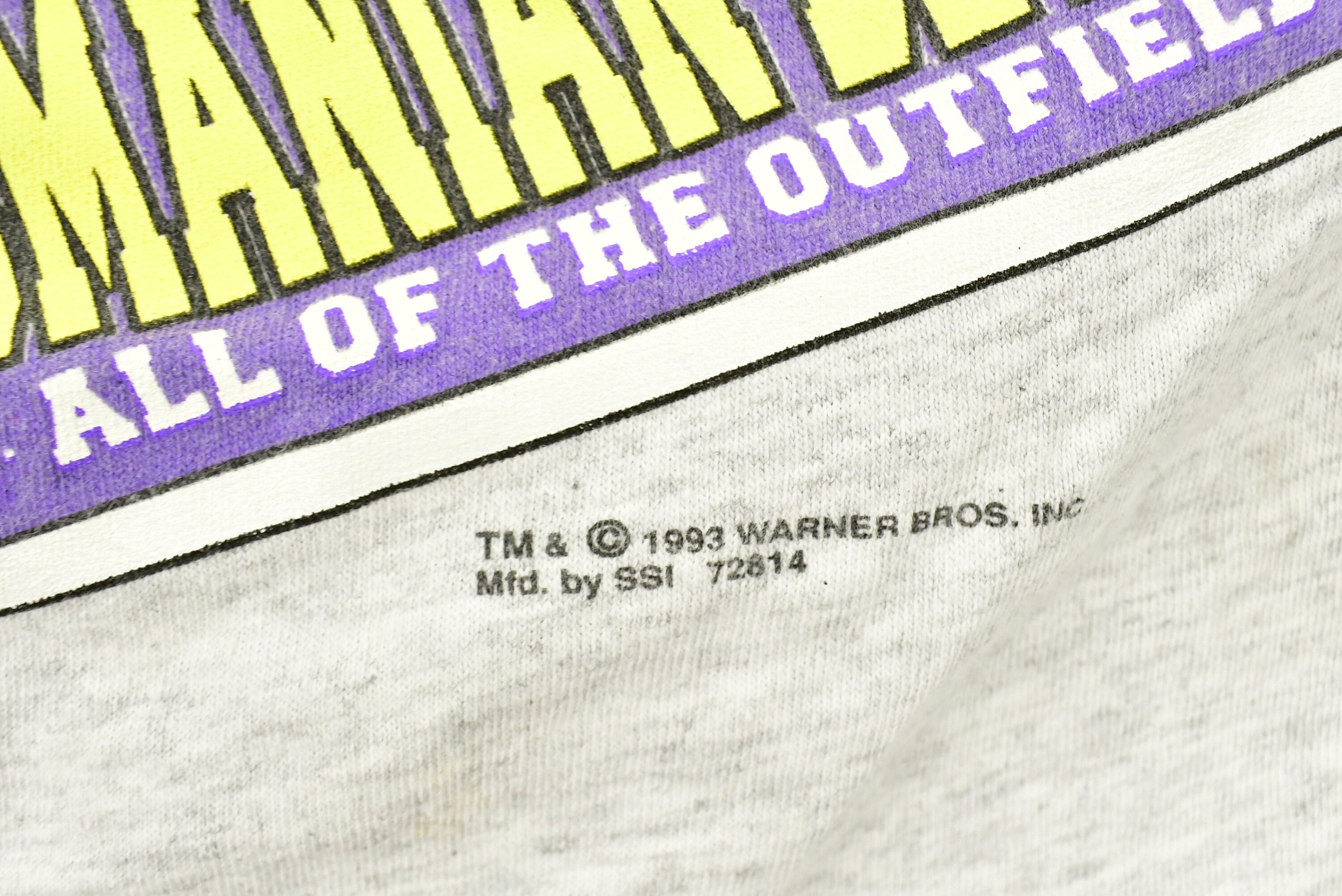 Vintage 1993 Tasmanian Devil Baseball Cartoon T-Shirt