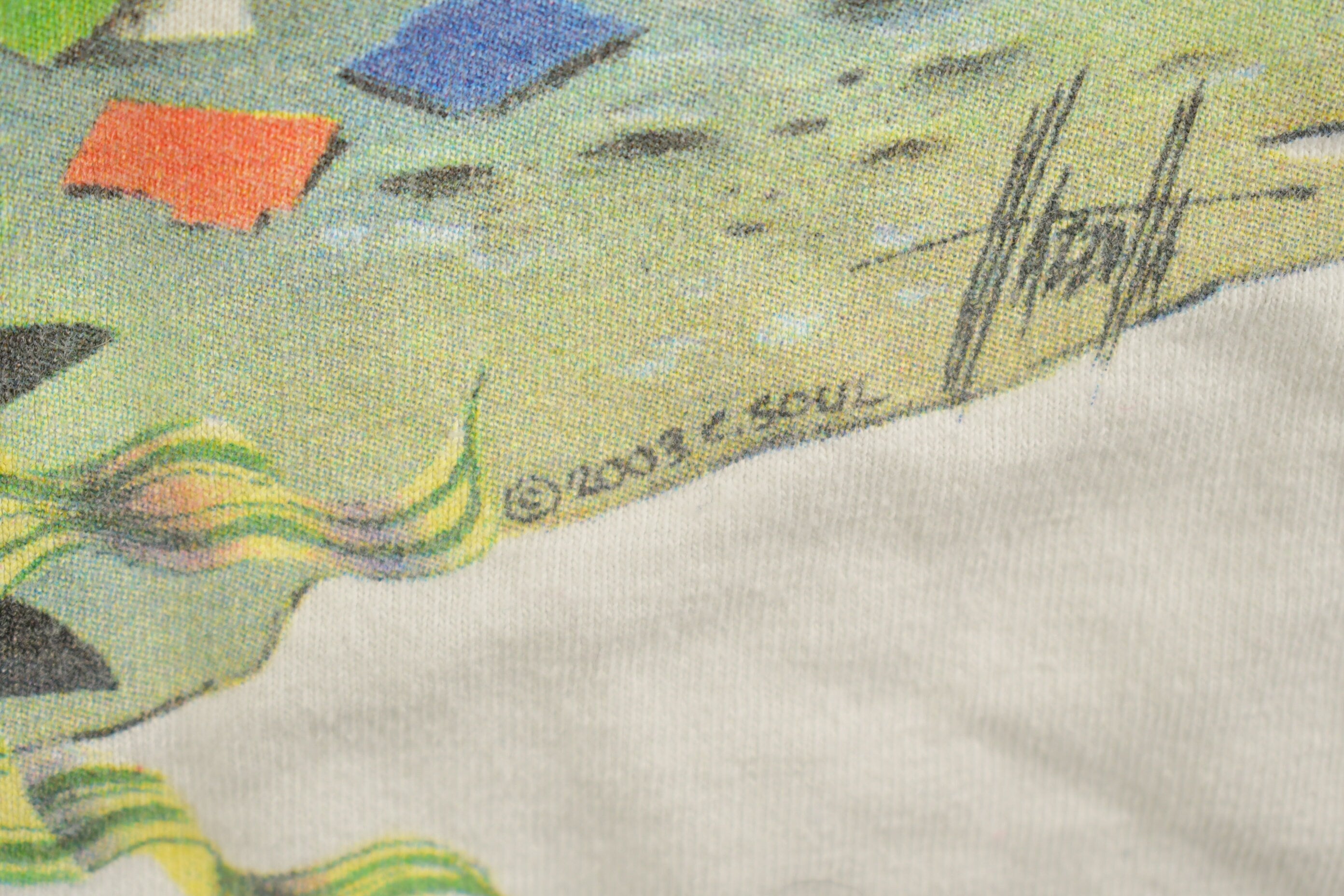 Vintage Y2K Caribbean Lizard Souvenir T Shirt