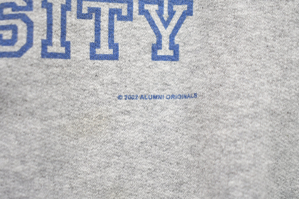 Vintage 1990s Hart University Collegiate Crewneck