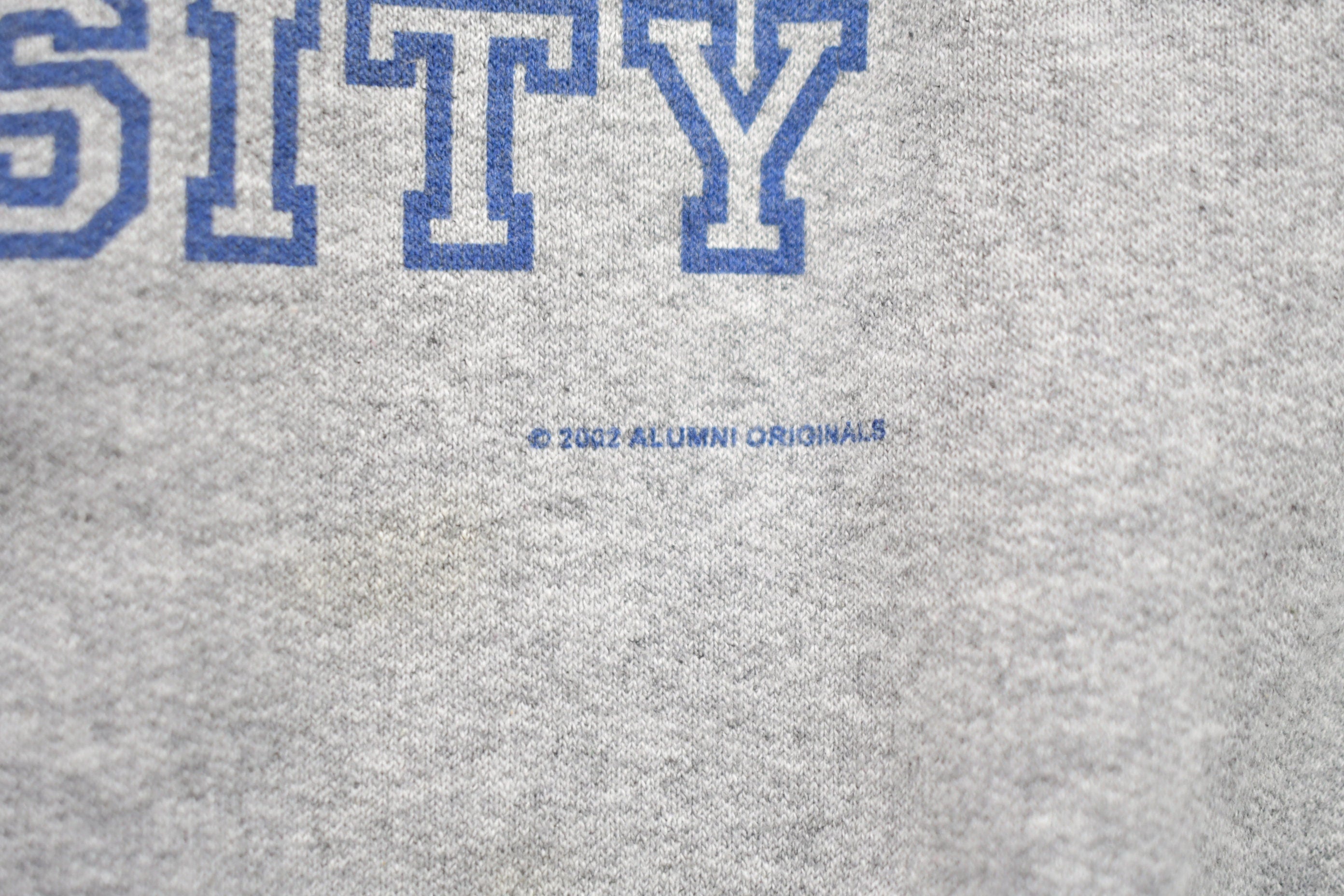 Vintage 1990s Hart University Collegiate Crewneck