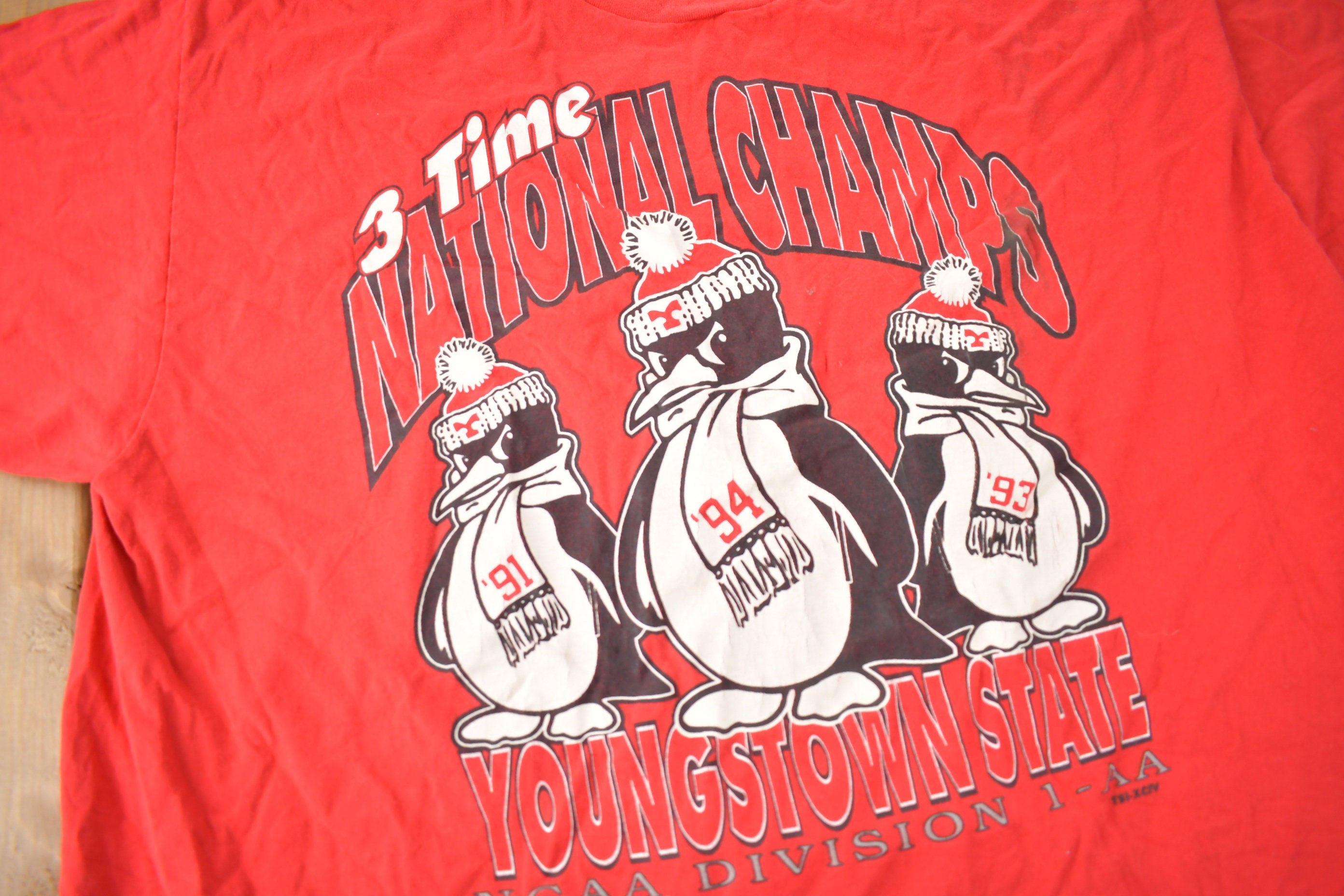 Vintage 1994 Youngstown State University Collegiate Graphic T-Shirt Made In USA