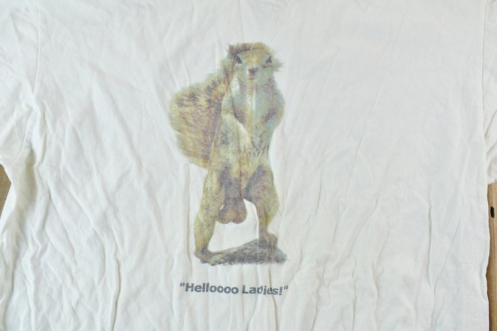 Vintage 1990s Hello Ladies Squirrel Comedy Graphic T-Shirt