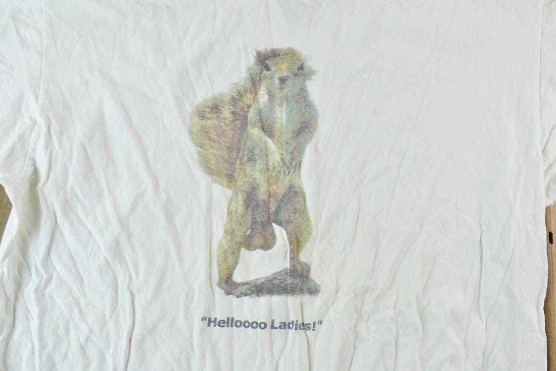 Vintage 1990s Hello Ladies Squirrel Comedy Graphic T-Shirt