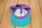 Vintage 1990s Charlotte Hornets NBA Snap Back Hat