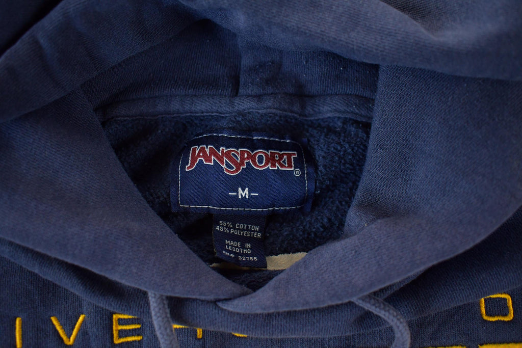 Vintage 2000s University of Wisconsin Eau Claire Hoodie