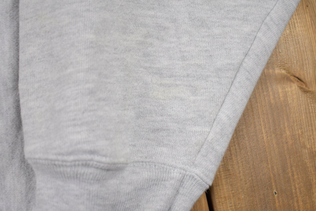 Vintage 1990s Champion Reverse Weave AO Athletics Sweatshirt