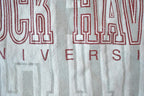 Vintage 1990s Lock Haven University Reverse Grain Jansport Collegiate Crewneck / Embroidered / NCAA Sweatshirt / Sportswear / Americana