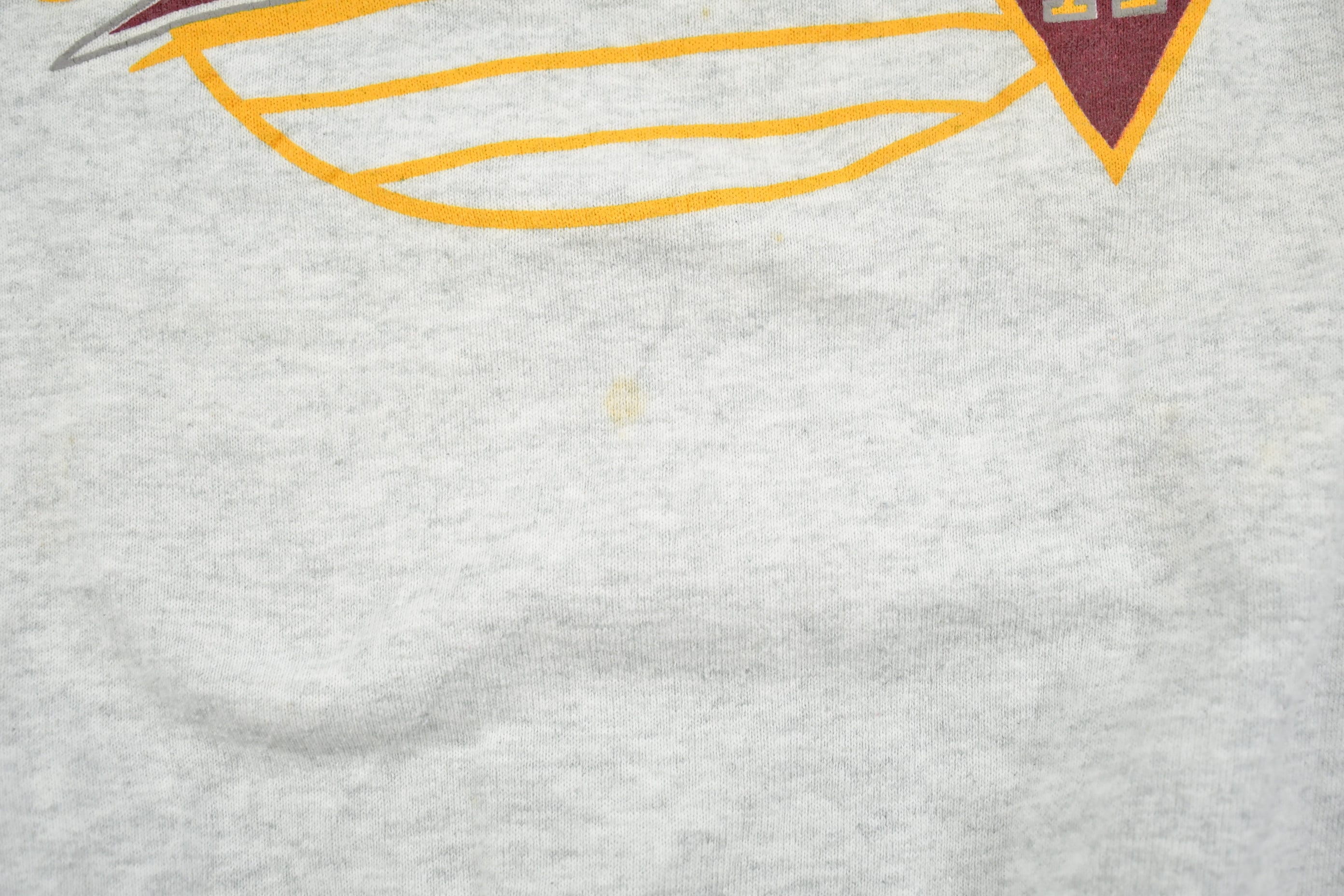 Vintage 1990s Ankeny Iowa Crewneck Sweatshirt