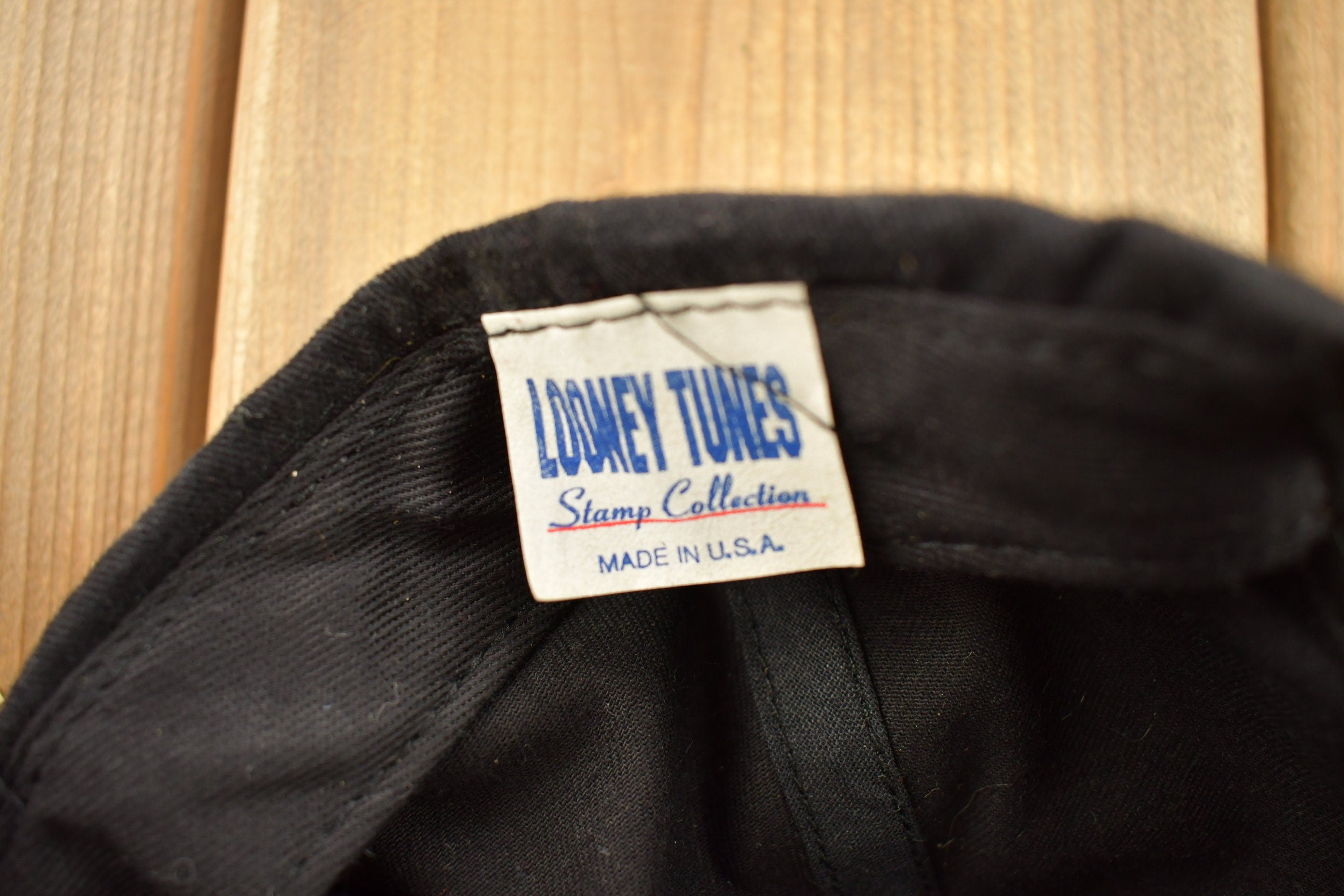 Vintage 1990s Looney Tunes Embroidered Snap Back Hat