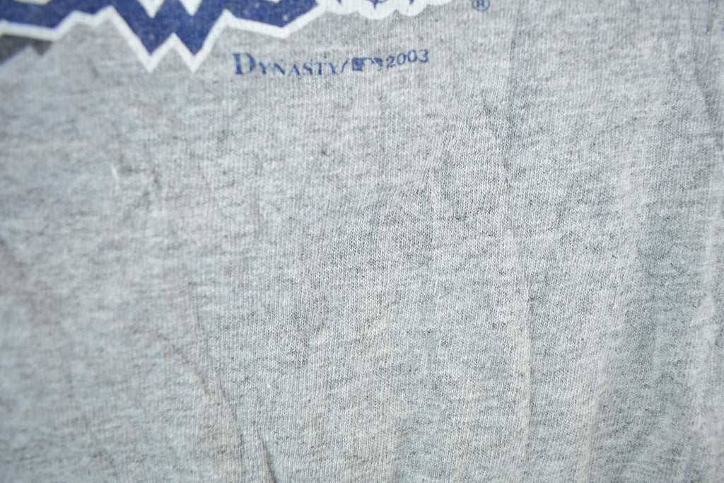 Vintage 2003 Detroit Tigers MLB Graphic T-Shirt Men's XL