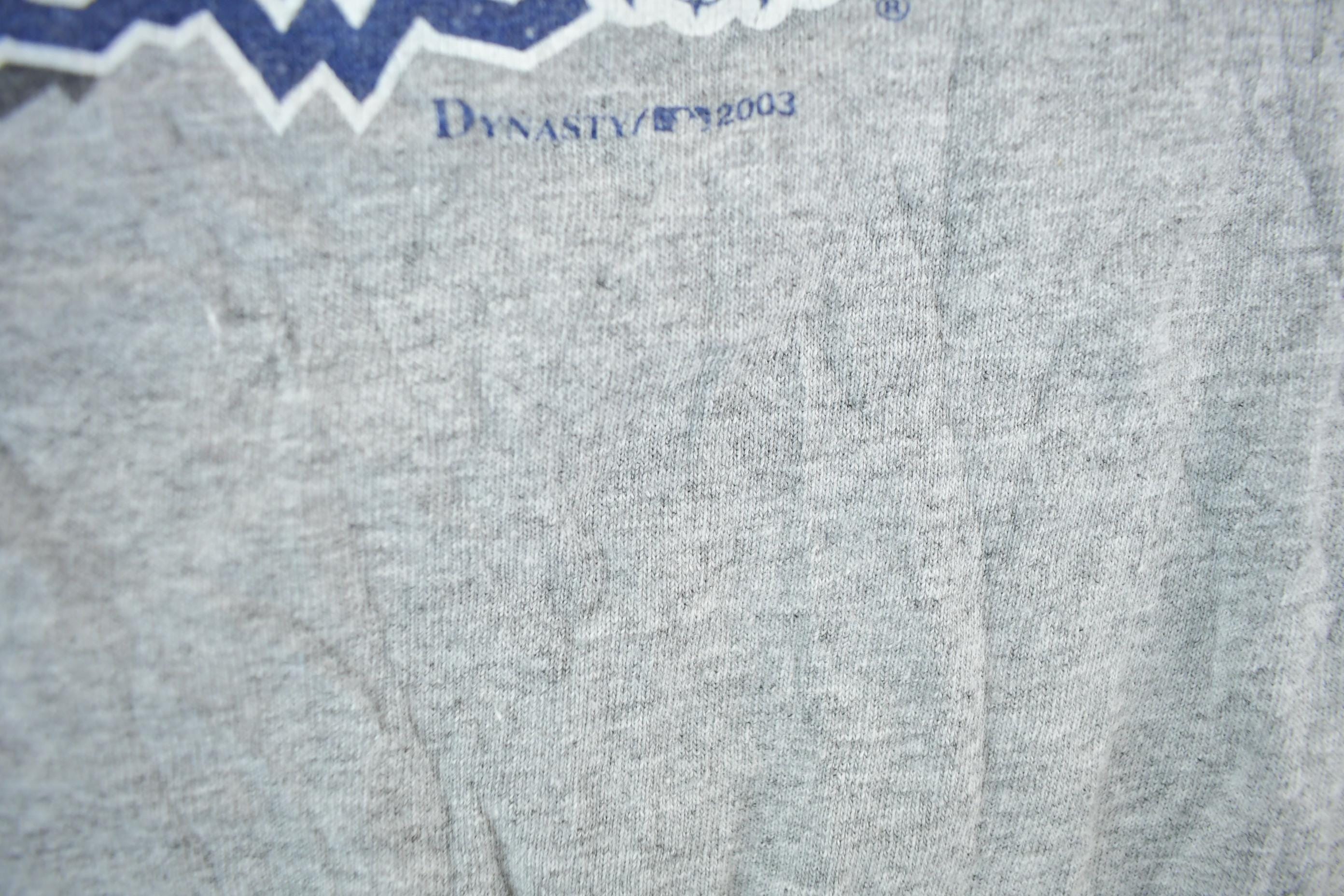 Vintage 2003 Detroit Tigers MLB Graphic T-Shirt Men's XL