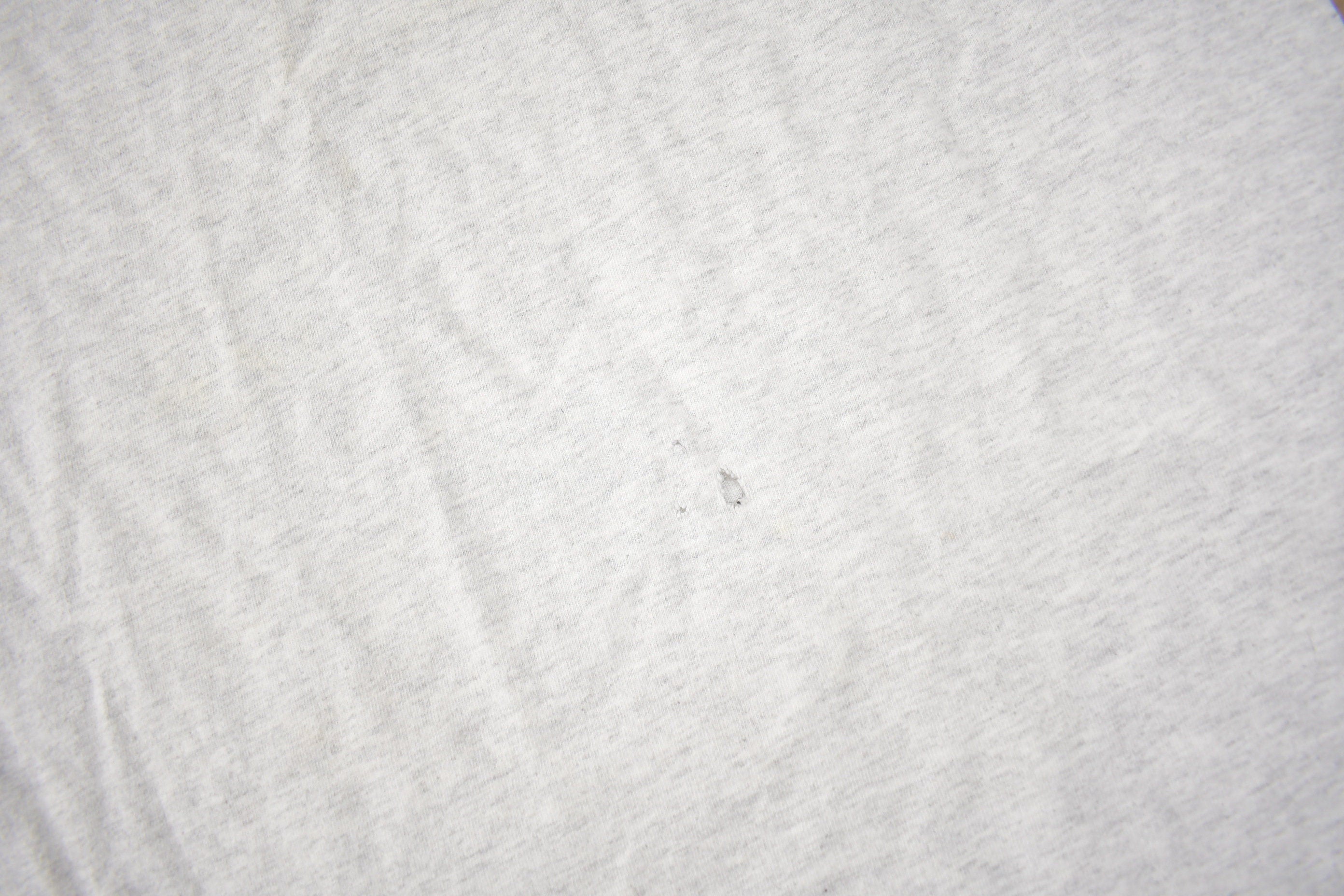 Vintage 1990s Hudsonville Michigan Graphic T Shirt Size L
