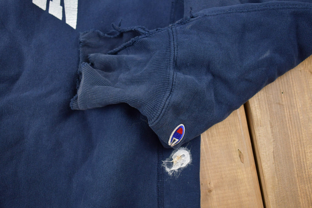 Vintage 1990s Champion Reverse Weave Wisconsin Sweatshirt