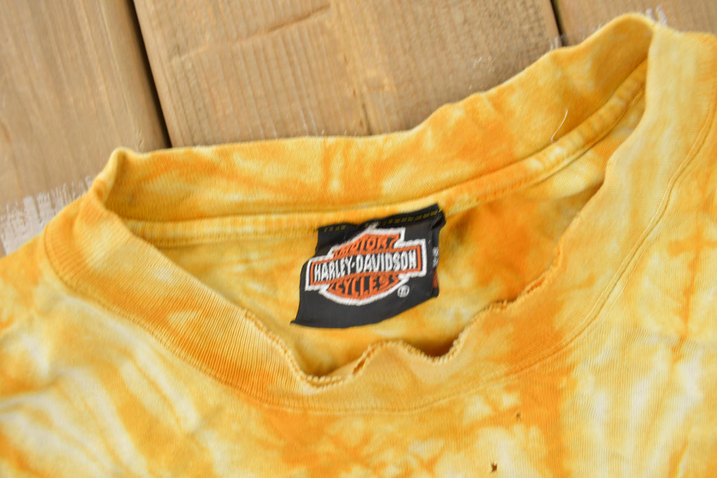 Vintage 2000 Boswell's Harley Davidson Nashville Tennessee Tie Dye Eagle Graphic T-Shirt