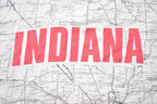 Vintage 1990s Indiana Map Souvenir T Shirt