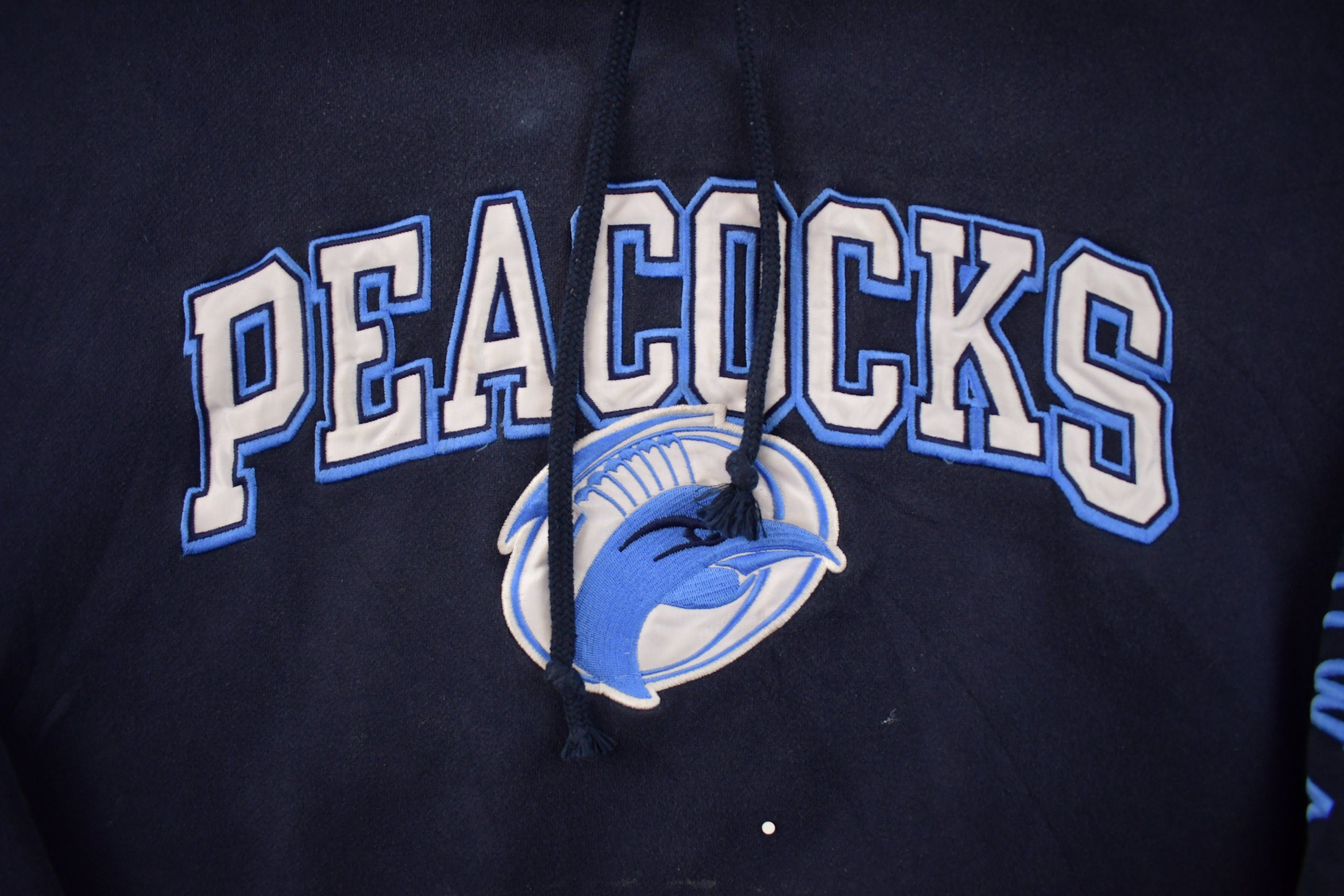 Vintage 1990s Champion Upper Iowa Peacocks Collegiate Hoodie