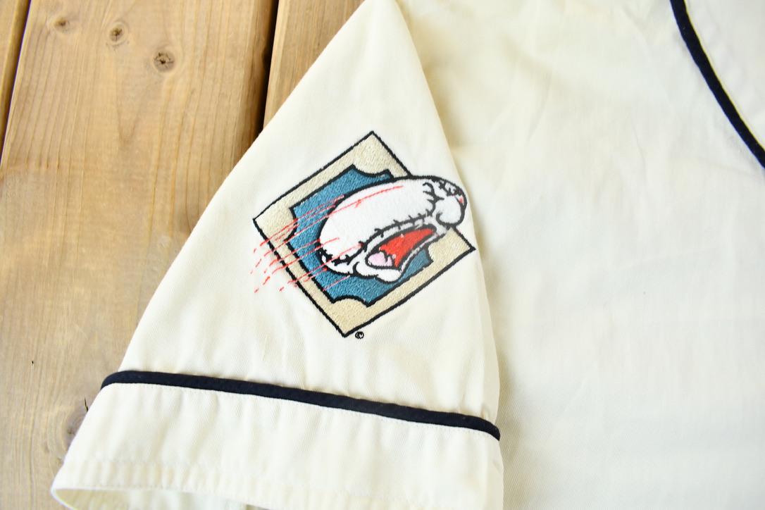 Vintage 1993 Looney Tunes Tasmanian Devil Baseball Jersey