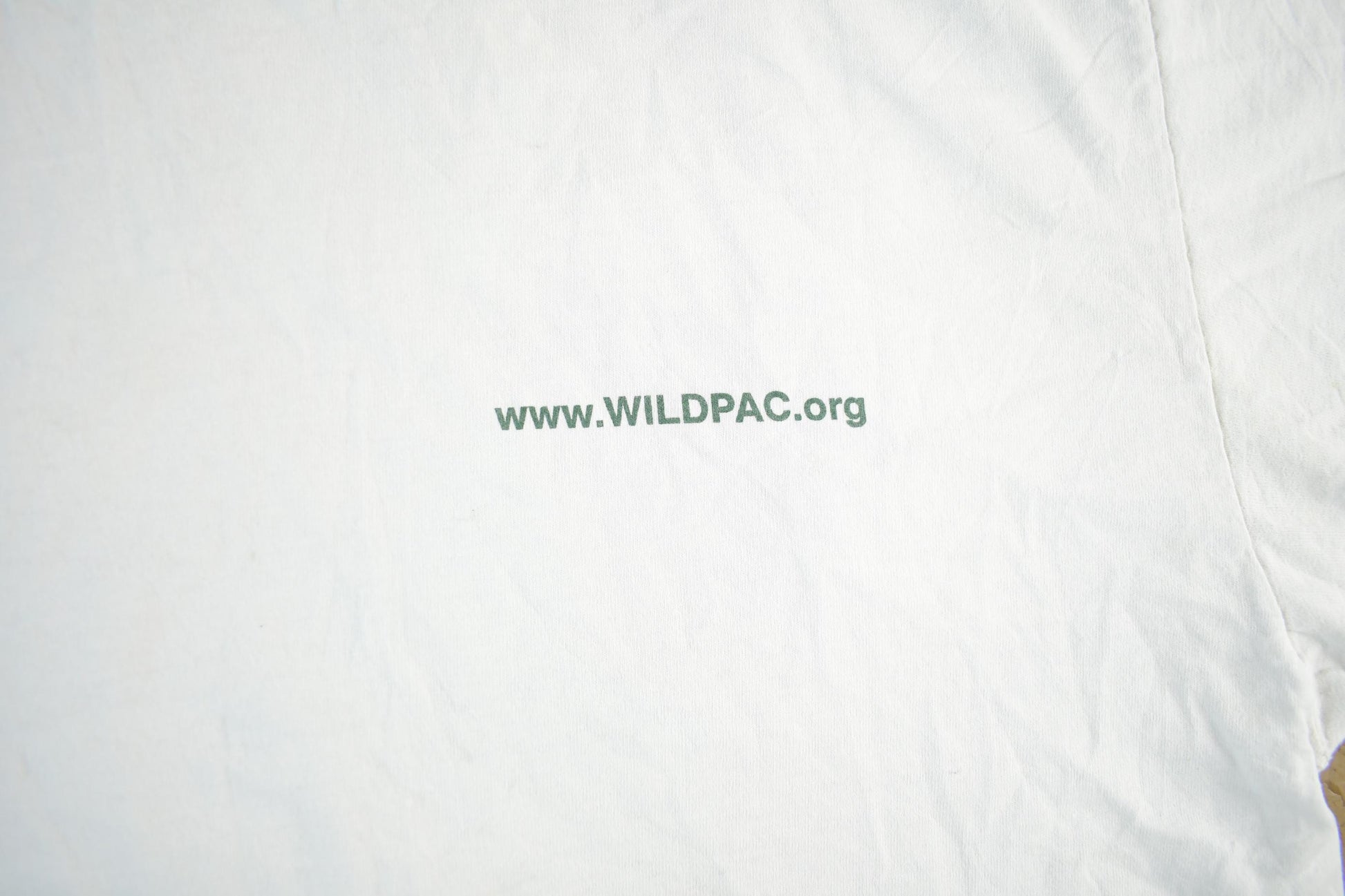 Vintage 2000s Patagonia Wildpac Organic Cotton T-Shirt Men's Large