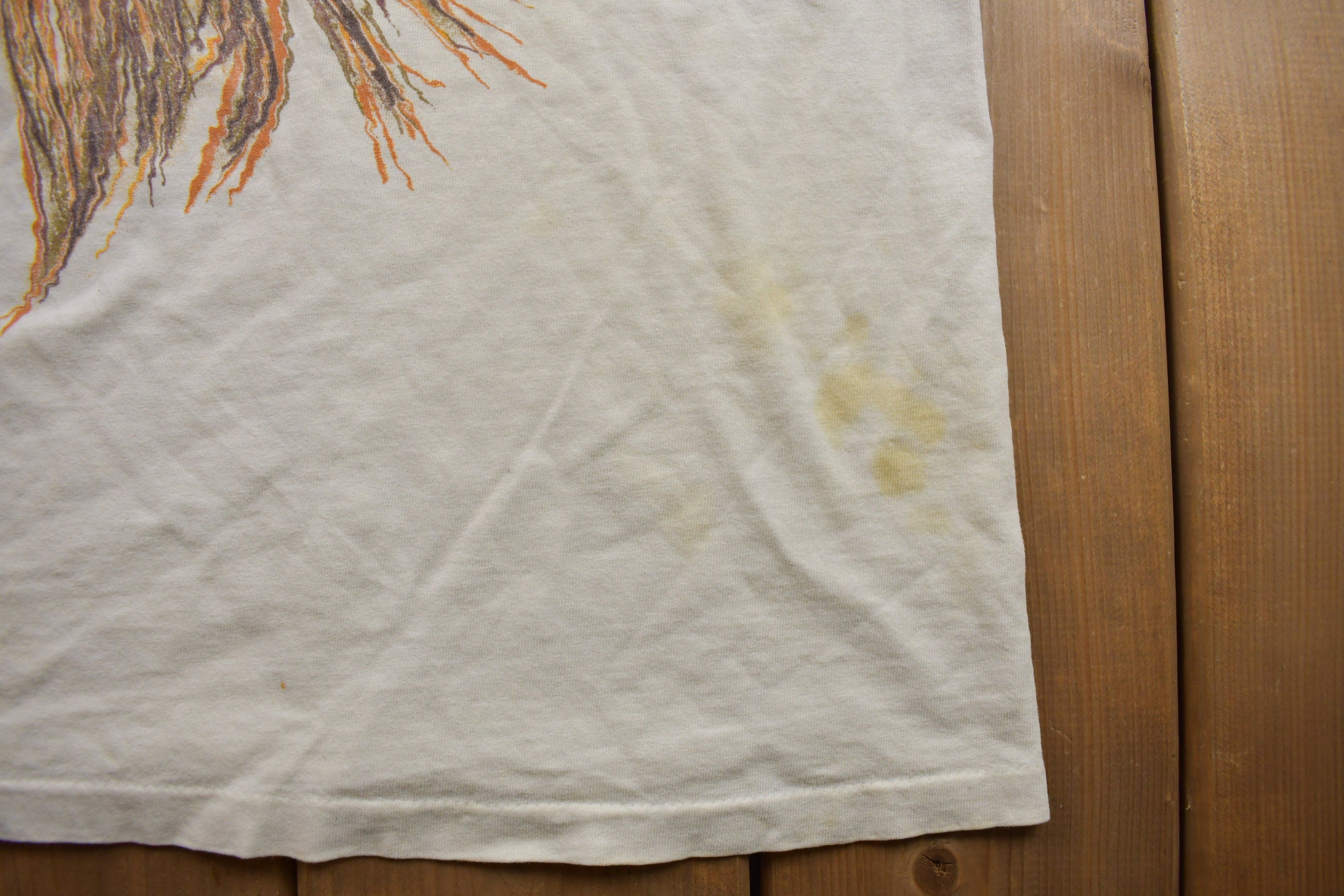 Vintage 1990s Disney World Animal Kingdom Lion Graphic T Shirt  Stained  Rare Vintage  Streetwear  Single Stitch  Made In USA