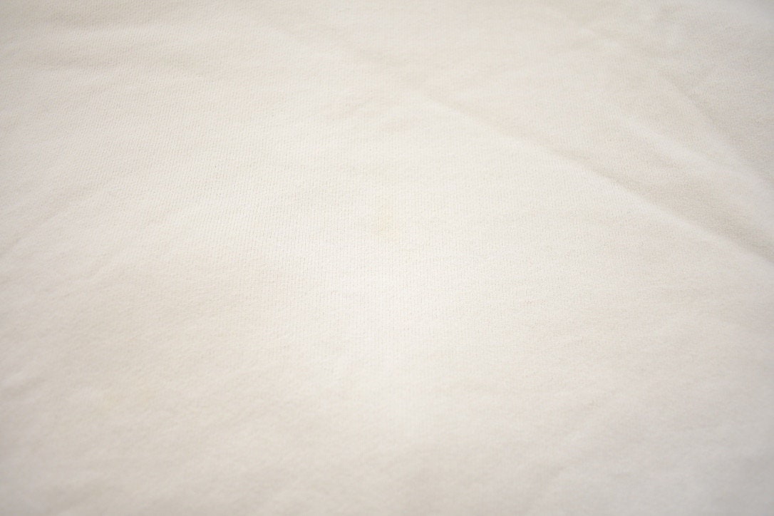 Vintage 1990s Disney Goofy Classics Hoodie / Vintage Sweatshirt / Vintage Disney / Goofy / Magic Kingdom / Made In USA