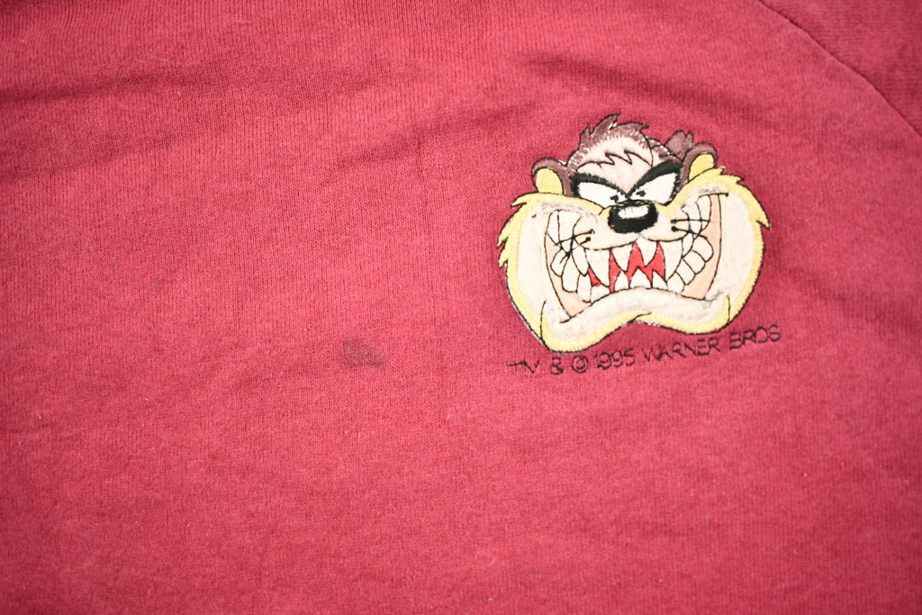 Vintage 1995 Tasmanian Devil Raglan Sleeve Looney Tunes Crewneck