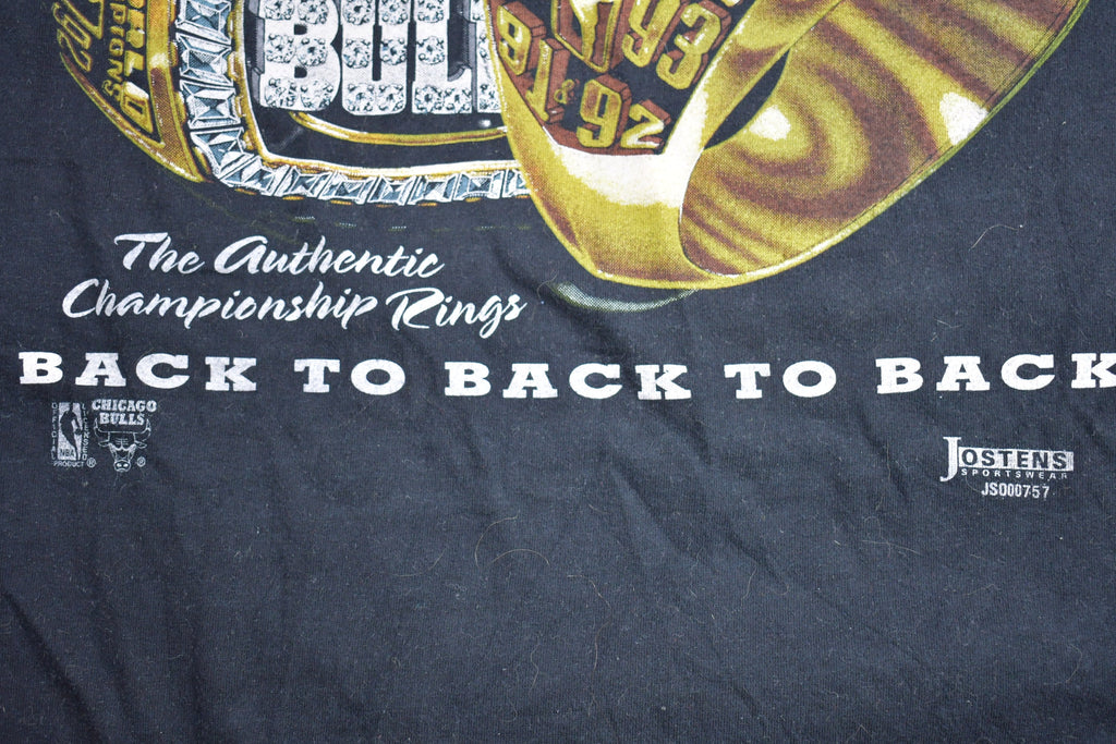 Vintage 1993 Chicago Bulls NBA World Champions Graphic T-Shirt