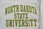 Vintage Y2K North Dakota State University Champion Reverse Weave Crewneck Sweatshirt Men's S / Heavyweight Crossgrain / Collegiate