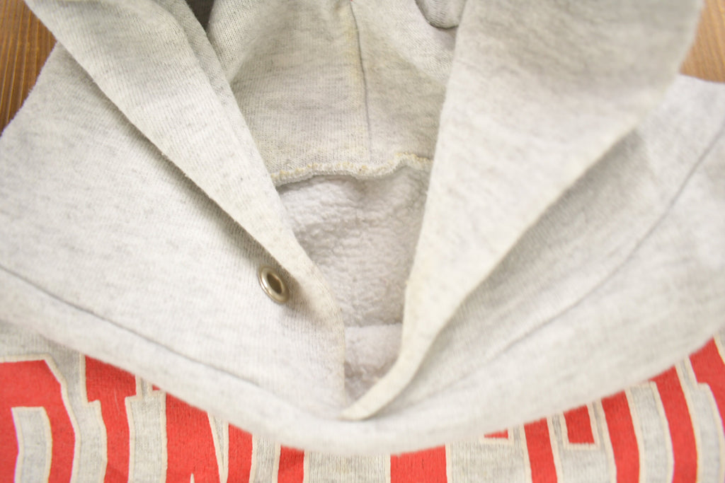 Vintage 1992 Princeton Wisconsin Hooded Sweatshirt