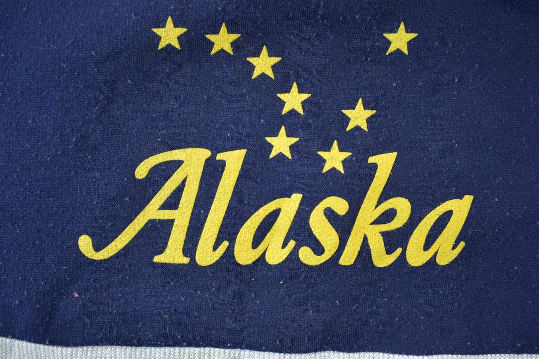 Vintage 1990s Alaska Quarter Zip Mock Neck Sweatshirt