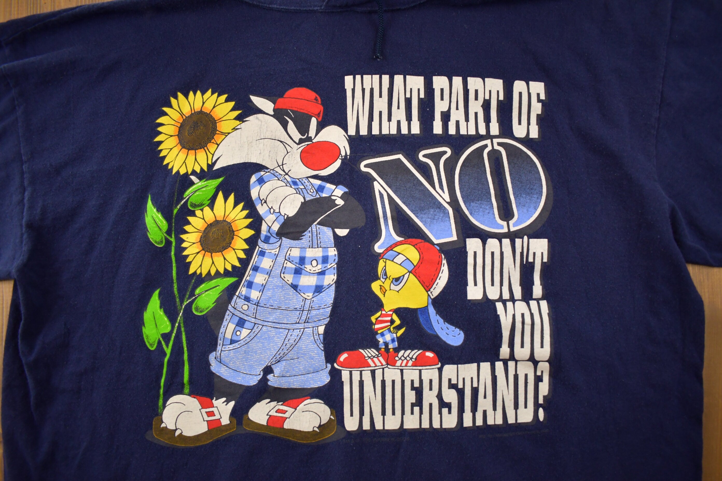 Vintage 1990s Looney Tunes Consent Graphic Short Sleeve Hoodie