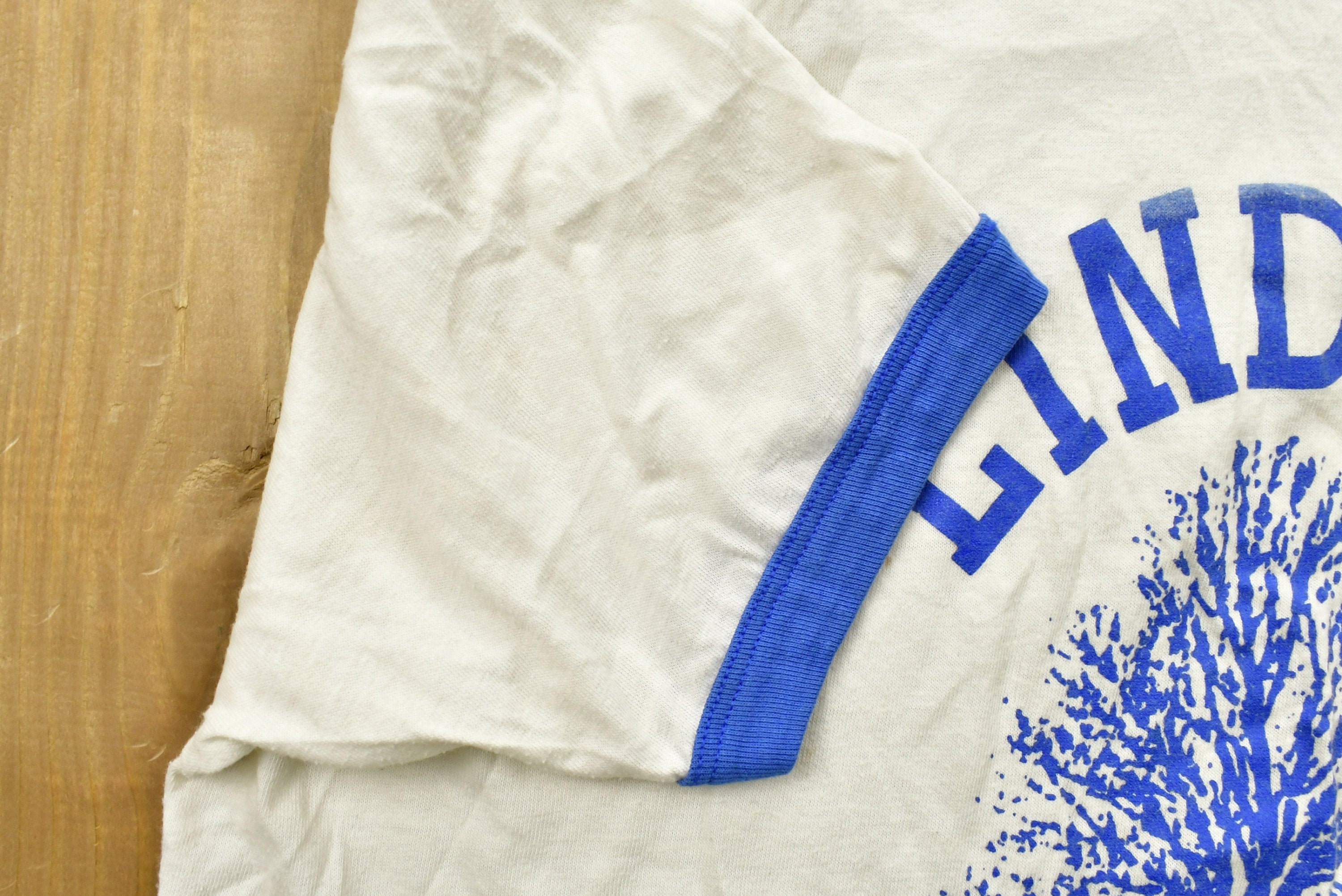 Vintage 1989 Lindsay Family Reunion Ringer T-Shirt