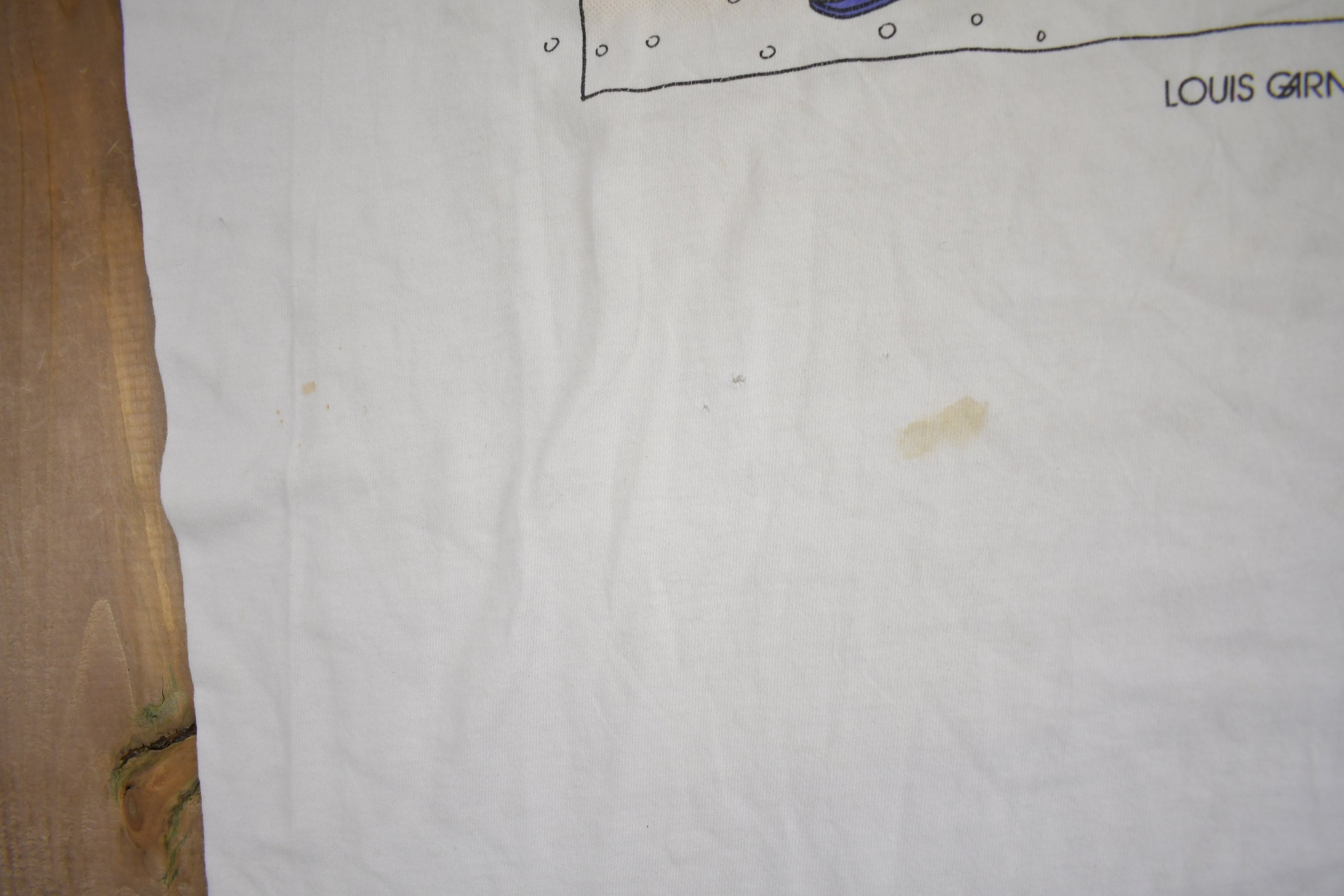 Vintage 1990s Desert Skiing Graphic Long Sleeve T Shirt
