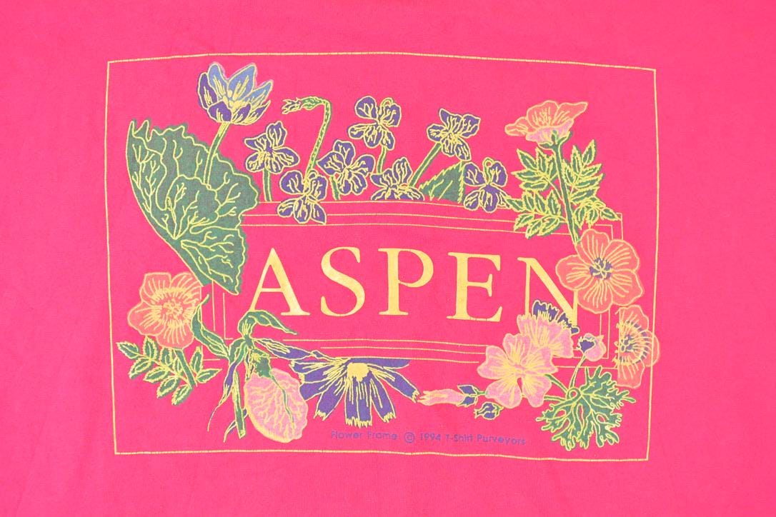 Vintage 1990s Aspen Souvenir Travel T-Shirt Men's XL