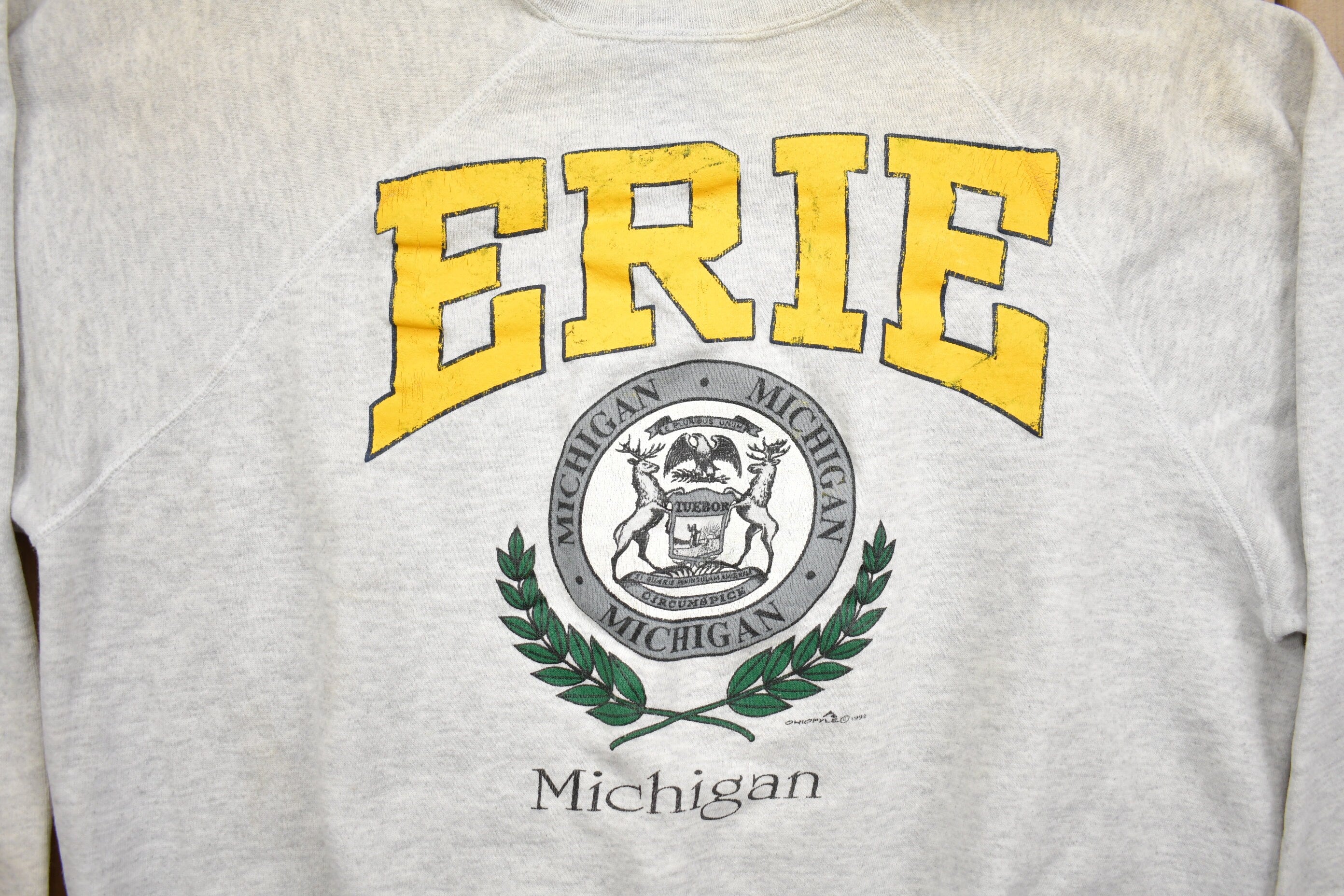 Vintage 1990s Erie Michigan Crewneck Sweatshirt