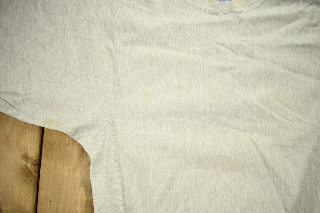 Vintage 1980s University Of Illinois Champion Reverse Weave Crewneck