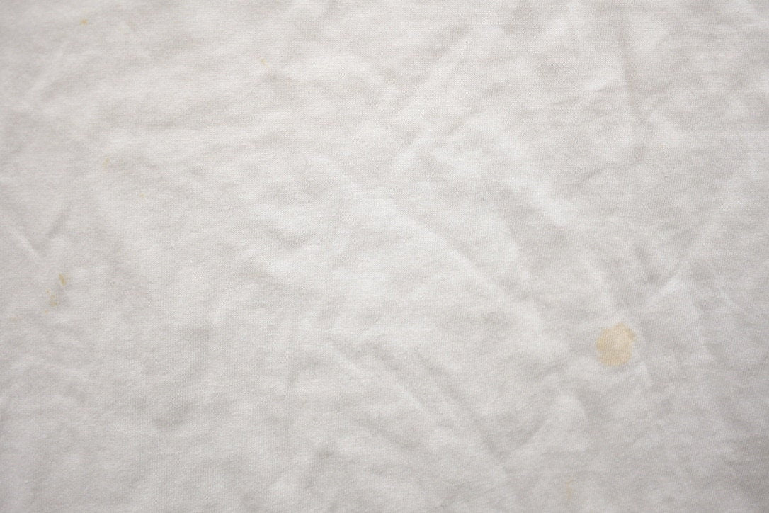 Vintage 1990s "No More Mr Nice Guy" Beaver Graphic T Shirt