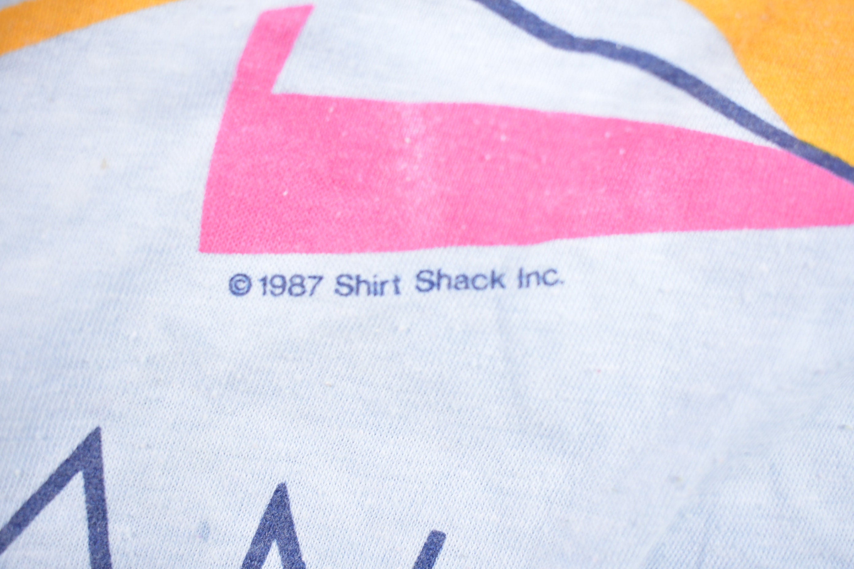 Vintage 1987 Michigan T-Shirt