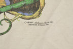Vintage 1997 Budweiser King Of Beers Lizard Graphic T-Shirt