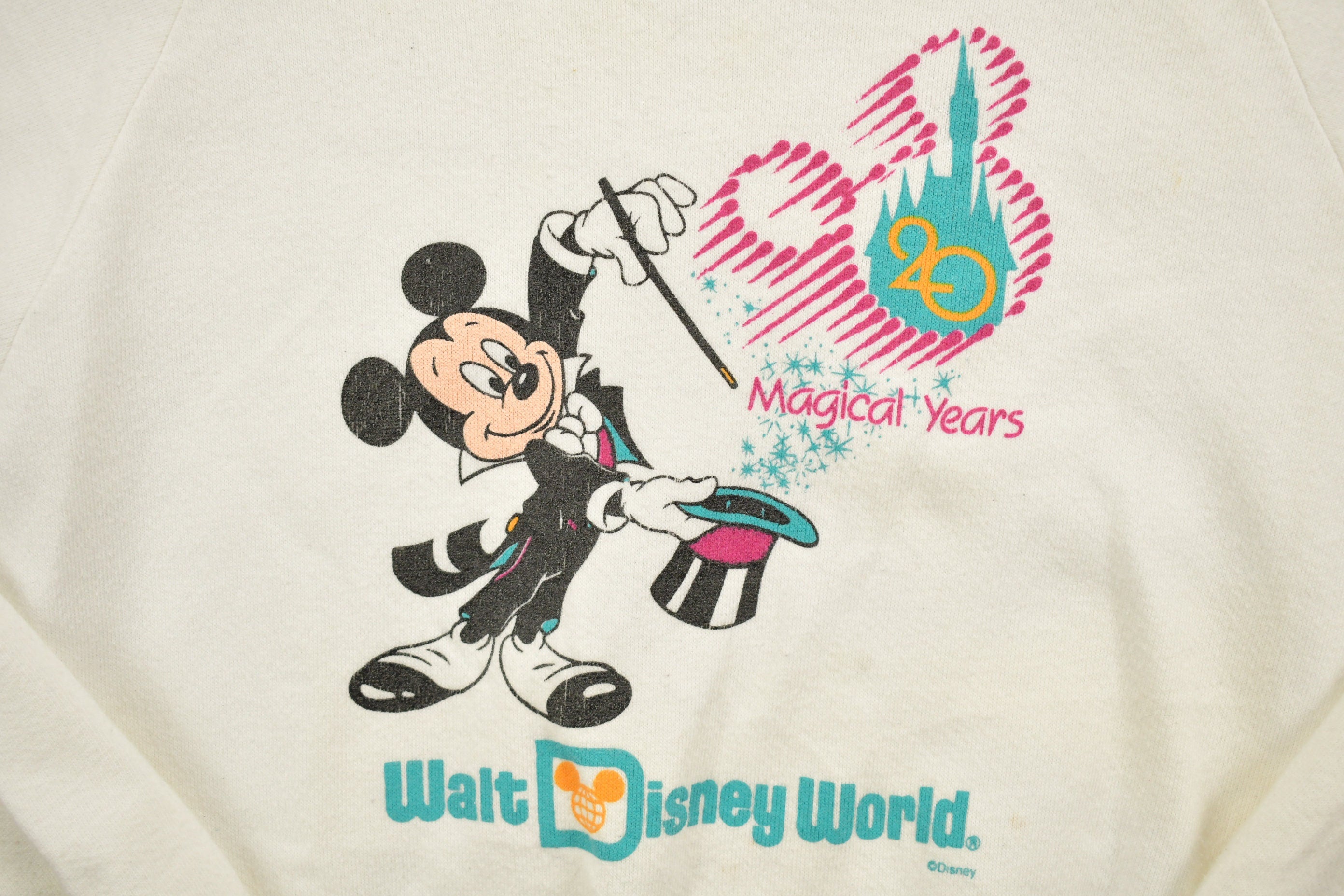 Vintage 1991 Walt Disney World 20th Anniversary Crewneck