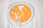 Vintage 1990s University Of Okoboji Souvenir Distressed Sweater Made In USA