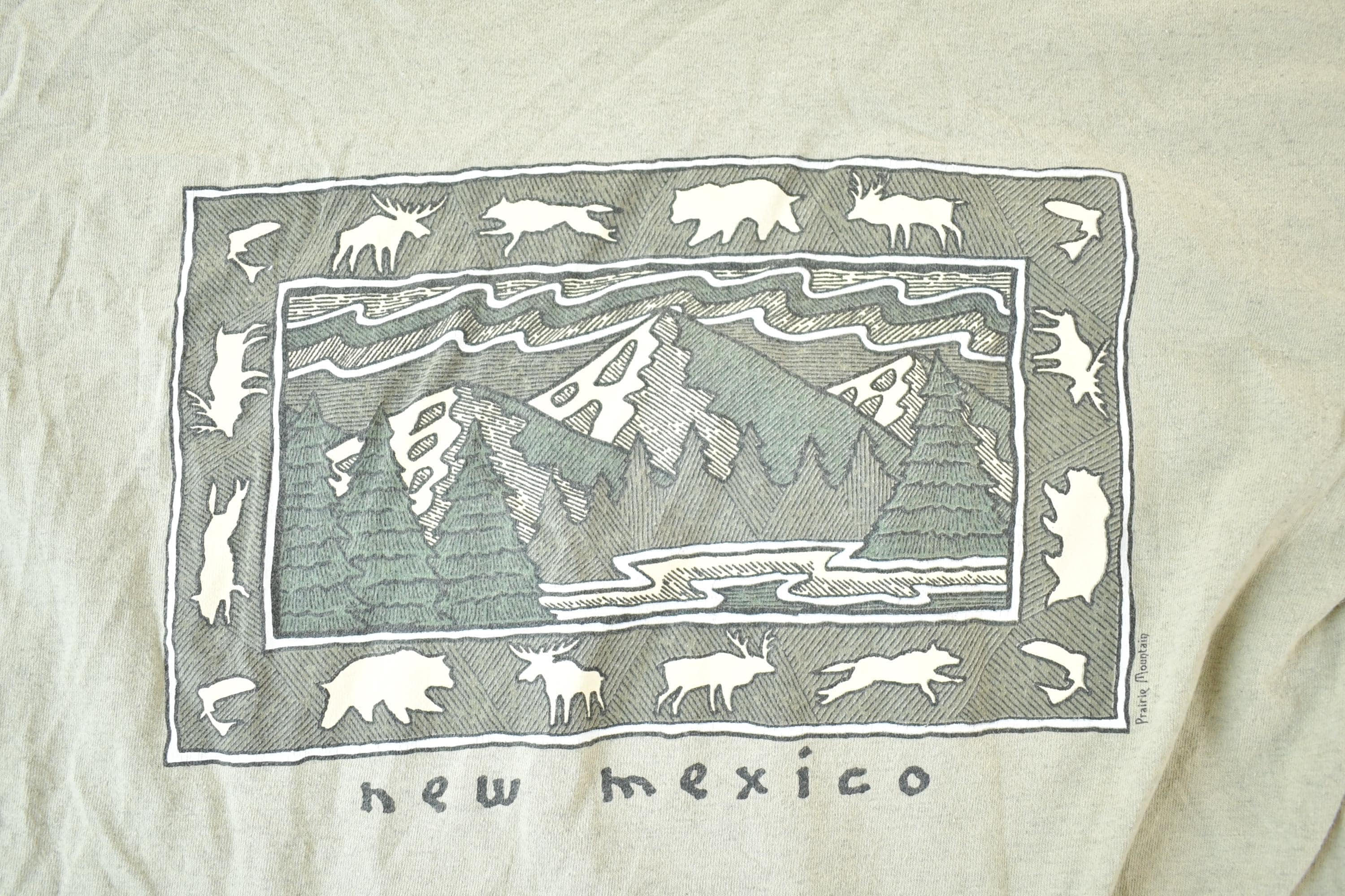 Vintage 1990s New Mexico Prairie Mountain Souvenir T-Shirt Mens L